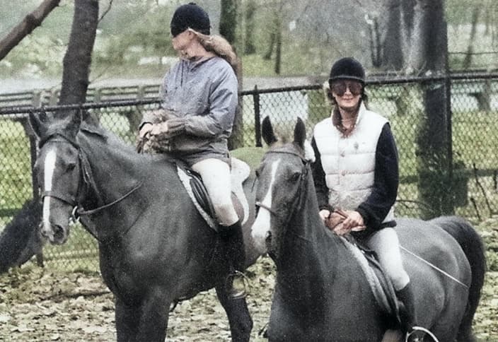 horses